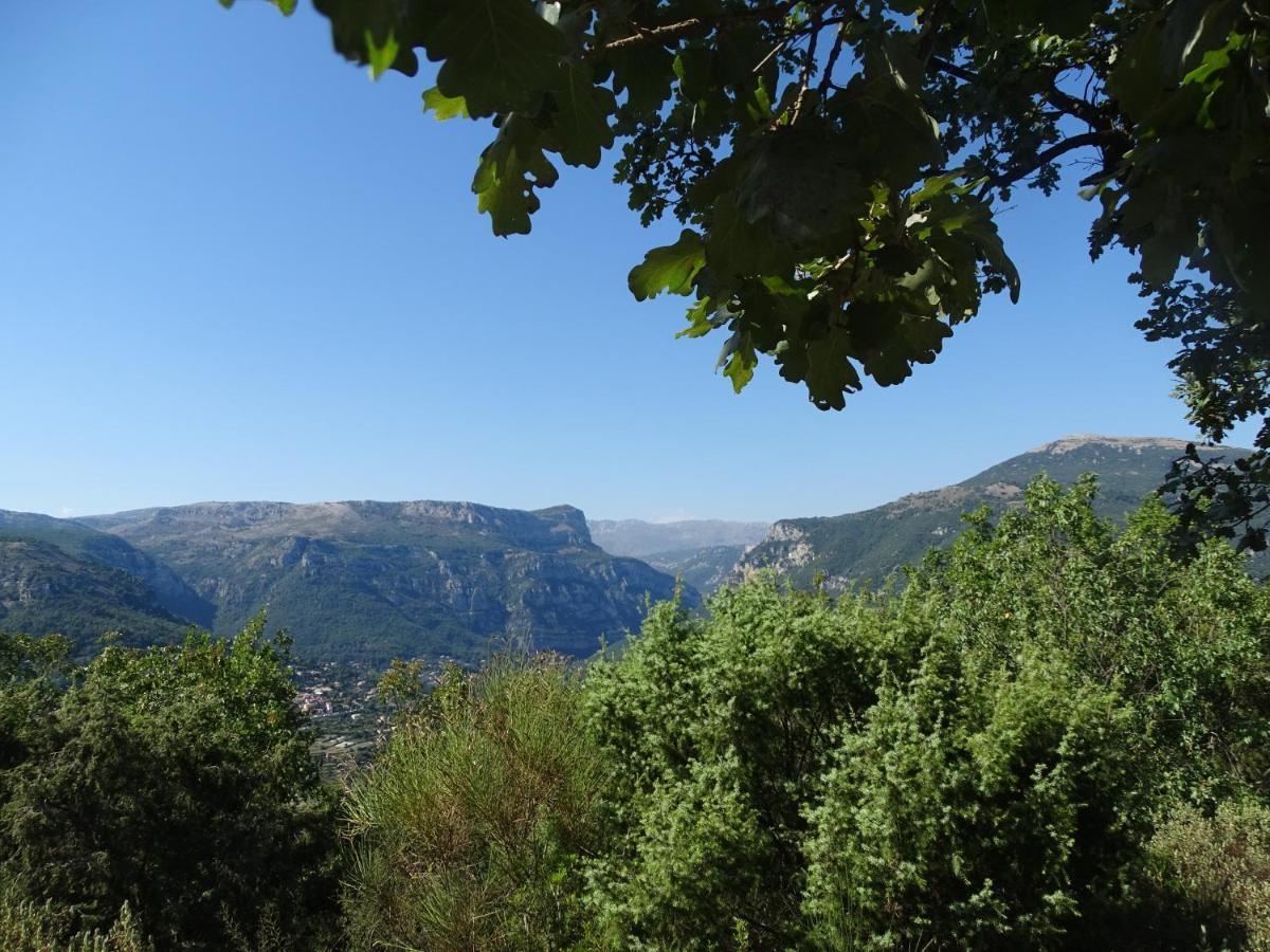 Luva D'Azur, Rez De Villa Le Riou - Le Vallon Le Bar-sur-Loup Екстериор снимка