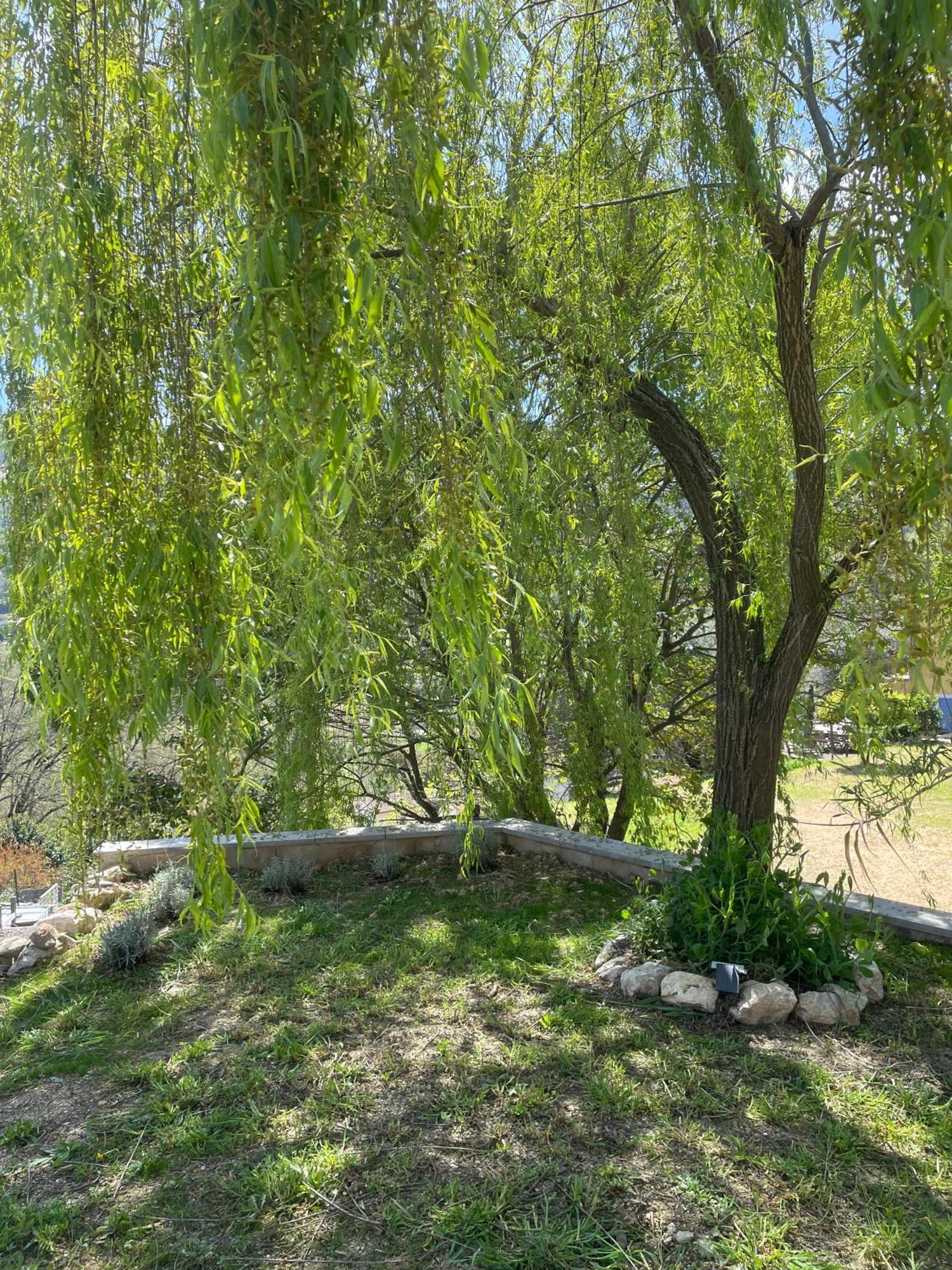 Luva D'Azur, Rez De Villa Le Riou - Le Vallon Le Bar-sur-Loup Екстериор снимка